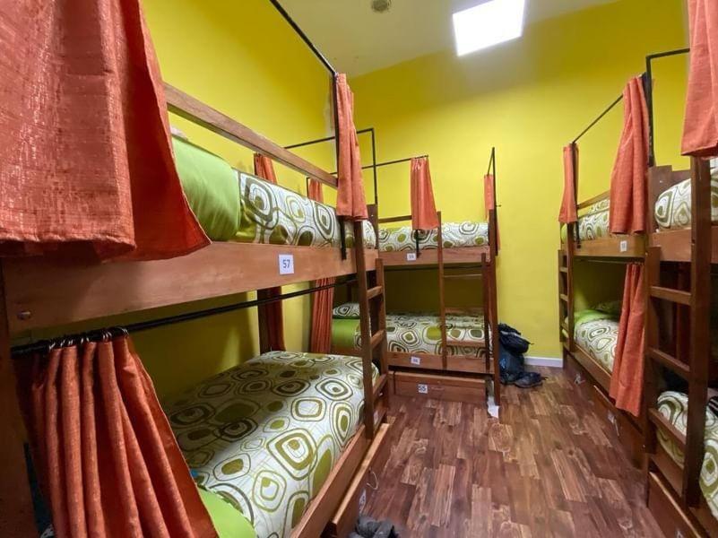 Saint Peter'S Llama Hostal La Paz Buitenkant foto