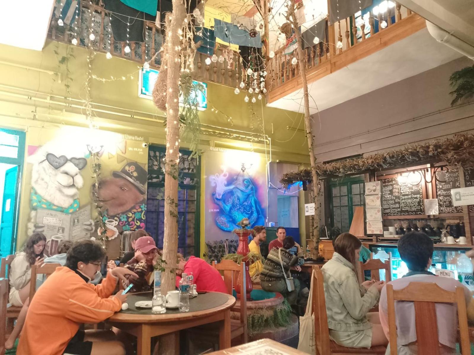 Saint Peter'S Llama Hostal La Paz Buitenkant foto